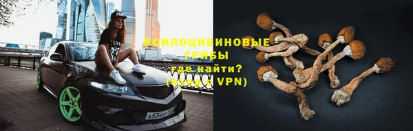 герыч Майский