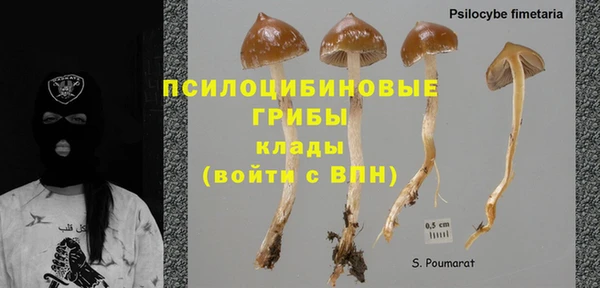 герыч Майский