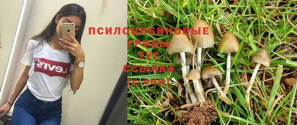 МДПВ Лиски