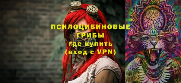 МДПВ Лиски