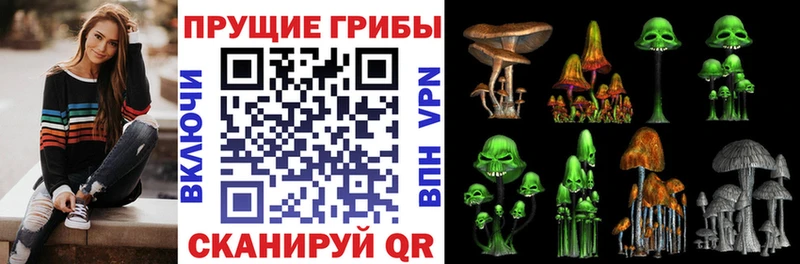 Псилоцибиновые грибы прущие грибы  Мамадыш 